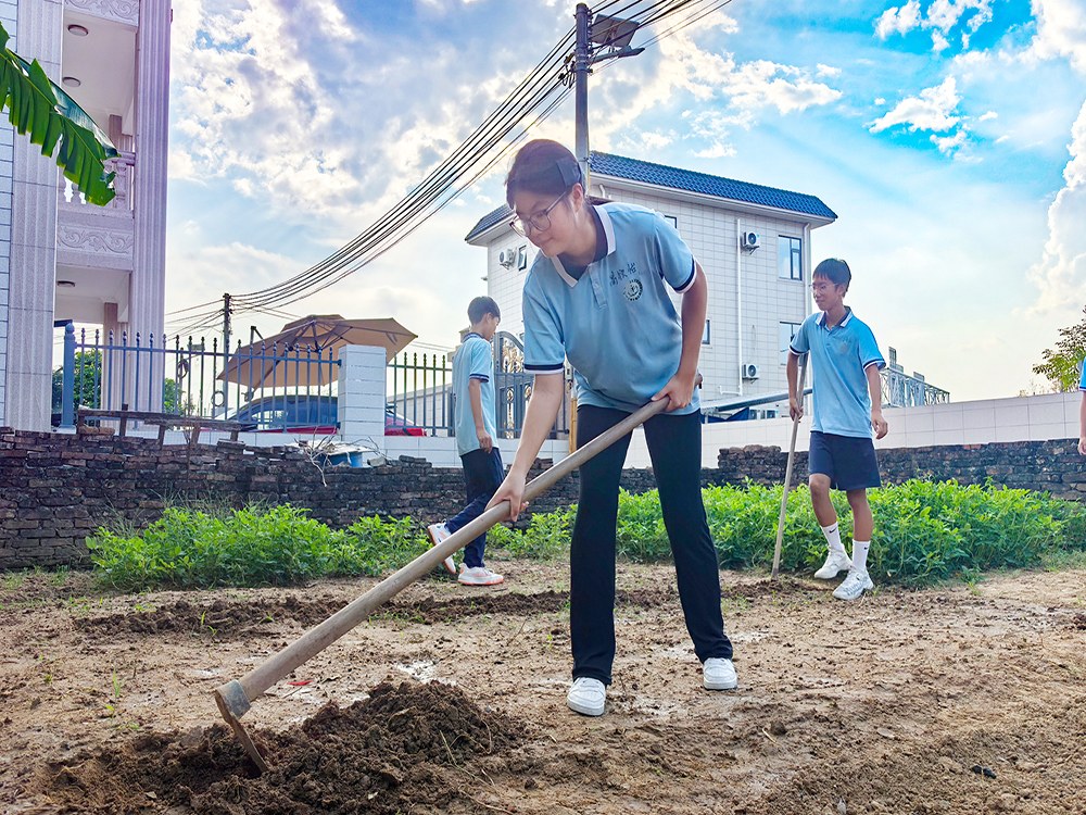 福建漳州正规青少年寄宿培育机构具体位置解析